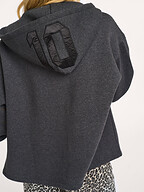 10Days | Truien en Vesten | Vesten