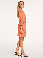 Aaiko | Jurken en Tunieken | Jurken