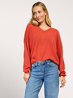 Absolut Cashmere | Truien en Vesten | Truien