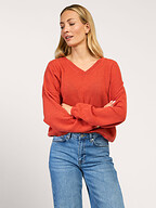 Absolut Cashmere | Truien en Vesten | Truien