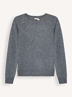 Absolut Cashmere | Truien en Vesten | Truien