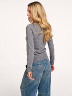 Absolut Cashmere | Truien en Vesten | Truien