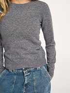 Absolut Cashmere | Truien en Vesten | Truien