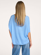 Absolut Cashmere | Truien en Vesten | Truien