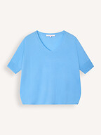 Absolut Cashmere | Truien en Vesten | Truien