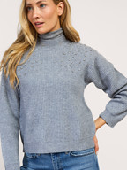 Absolut Cashmere | Truien en Vesten | Truien