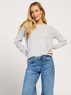 Absolut Cashmere | Truien en Vesten | Truien