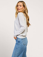 Absolut Cashmere | Truien en Vesten | Truien