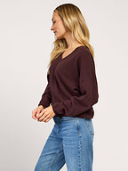 Absolut Cashmere | Truien en Vesten | Truien