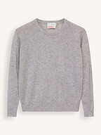 Absolut Cashmere | Truien en Vesten | Truien