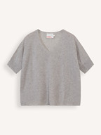 Absolut Cashmere | Truien en Vesten | Truien
