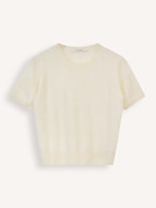 Absolut Cashmere | Truien en Vesten | Truien