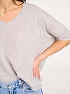 Absolut Cashmere | Truien en Vesten | Truien