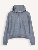 Absolut Cashmere | Truien en Vesten | Truien