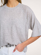 Absolut Cashmere | Truien en Vesten | Truien