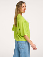 Absolut Cashmere | Truien en Vesten | Truien