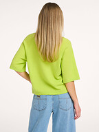 Absolut Cashmere | Truien en Vesten | Truien