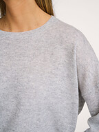 Absolut Cashmere | Truien en Vesten | Truien