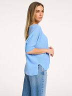 Absolut Cashmere | Truien en Vesten | Truien