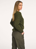 Absolut Cashmere | Truien en Vesten | Truien