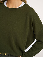 Absolut Cashmere | Truien en Vesten | Truien