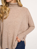 Absolut Cashmere | Truien en Vesten | Coltruien