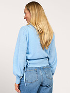 Absolut Cashmere | Truien en Vesten | Vesten