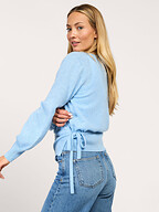 Absolut Cashmere | Truien en Vesten | Vesten