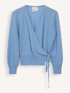 Absolut Cashmere | Truien en Vesten | Vesten