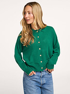 Absolut Cashmere | Truien en Vesten | Vesten