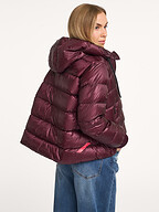 After Label | Jassen | Gewatteerde jassen