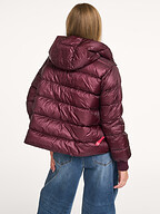 After Label | Jassen | Gewatteerde jassen