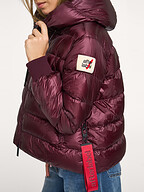 After Label | Jassen | Gewatteerde jassen