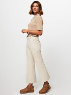 Alchemist | Truien en Vesten | Truien