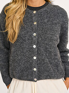 American Vintage | Truien en Vesten | Vesten