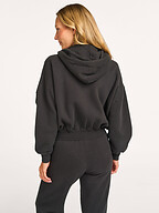 American Vintage | Truien en Vesten | Vesten