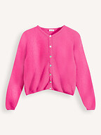 American Vintage | Truien en Vesten | Vesten