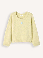 American Vintage | Truien en Vesten | Truien