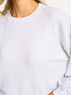 American Vintage | Truien en Vesten | Sweaters en hoodies