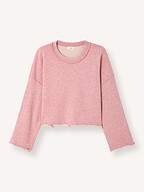 American Vintage | Truien en Vesten | Sweaters en hoodies