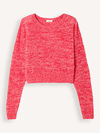 American Vintage | Truien en Vesten | Truien