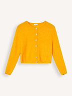 American Vintage | Truien en Vesten | Vesten