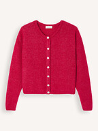 American Vintage | Truien en Vesten | Vesten