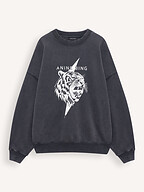 Anine Bing | Truien en Vesten | Sweaters en hoodies