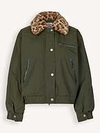 Baum und Pferdgarten | Jassen | Gewatteerde jassen