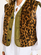 Bellerose | Blazers en Jasjes | Gilets