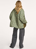 Bellerose | Jassen | Jacks