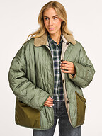 Bellerose | Jassen | Jacks