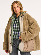 Bellerose | Jassen | Jacks