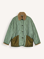 Bellerose | Jassen | Jacks
